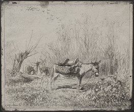 A Donkey in the Field, original impression 1862, printed in 1921. Charles François Daubigny