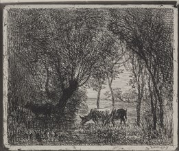 Cows in the Woods, original impression 1862, printed in 1921. Charles François Daubigny (French,