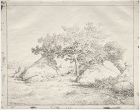 Cherry Tree at Blau. Théodore Rousseau (French, 1812-1867). Cliché-verre
