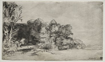 Clump of Trees with a Vista, 1652. Rembrandt van Rijn (Dutch, 1606-1669). Etching and drypoint;