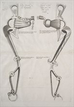 Diagram for Horse's Bit, 1700s. France, 18th century. Etching