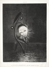 Homage to Goya:  The Marsh Flower and a Human and Sad Head, 1885. Odilon Redon (French, 1840-1916).