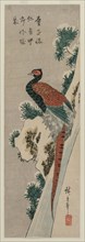 Copper Pheasant by Snowy Waterfall, late 1830s or early 1840s. Ando Hiroshige (Japanese, 1797-1858)