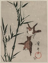 Sparrows, Bamboo and Falling Snow, c. late 1820s. Keisai Eisen (Japanese, 1790-1848). Color