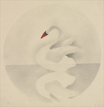 Swan. Mary Altha Nims (American, 1817-1907). Pencil;