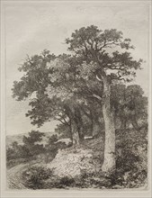 At Colney. John Crome (British, 1768-1821). Etching