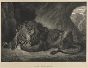 Lion de l'Atlas, 1829. Eugène Delacroix (French, 1798-1863). Lithograph