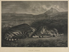 Tigre Royal, 1829. Eugène Delacroix (French, 1798-1863). Lithograph