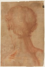 Man's Head from the Back, 16th century?. Copy after Agnolo Bronzino (Italian, 1503-1572). Red chalk