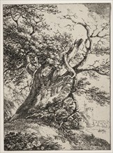 Specimens of Polyautography:  Landscape with an Oak Tree, 1803. Thomas Hearne (British, 1744-1817).