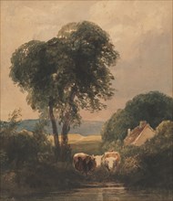 Welsh Landscape with Cattle. Peter De Wint (British, 1784-1849). Watercolor; sheet: 32.7 x 28.6 cm