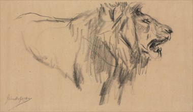 Lion. John Macallan Swan (British, 1847-1910). Charcoal; sheet: 18.2 x 31.7 cm (7 3/16 x 12 1/2 in