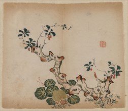 Branching Stump, 1368-1644. China, Ming dynasty (1368-1644) or later. Color woodblock print;