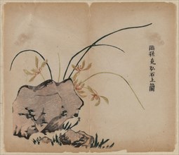 Orchid on Rocks, 18th Century. China, Qing dynasty (1644-1911). Color woodblock print; overall: 29