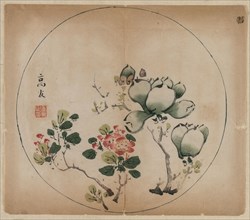 Flowering Magnolia and Peach Blossoms, 1368-1644. China, Ming dynasty (1368-1644) or later. Color