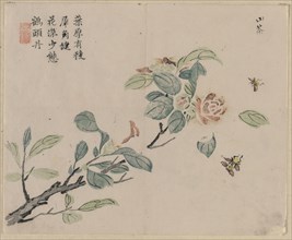 Flowering Branch with Bees, 18th Century. China, Qing dynasty (1644-1911). Color woodblock print;