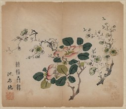 Flowering Prunus, 1368-1644. China, Ming dynasty (1368-1644) or later. Color woodblock print;