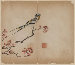 Swallow on Flowering Peach Branch, 1368-1644. China, Ming dynasty (1368-1644) or later. Color