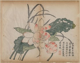 Flowering Lotus and Bud, 18th Century. China, Qing dynasty (1644-1911). Color woodblock print;