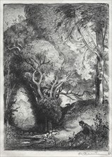 The Ravine in June. Auguste Louis Lepère (French, 1849-1918). Lithograph