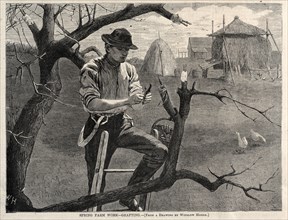 Spring Farm Work - Grafting, 1870. Winslow Homer (American, 1836-1910). Wood engraving