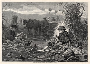 The Last Days of Harvest, 1873. Winslow Homer (American, 1836-1910). Wood engraving; sheet: 28.1 x