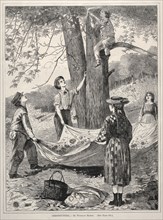 Chestnutting, 1870. Winslow Homer (American, 1836-1910). Wood engraving
