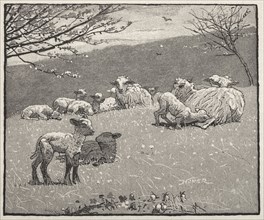 Spring Lamb, 1880. Winslow Homer (American, 1836-1910). Wood engraving