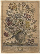 Twelve Months of Flowers:  March, 1730. Henry Fletcher (British, active 1715-38). Engraving,