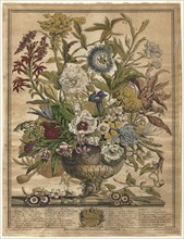 Twelve Months of Flowers:  September, 1730. Henry Fletcher (British, active 1715-38). Engraving,