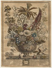 Twelve Months of Flowers:  December, 1730. Henry Fletcher (British, active 1715-38). Engraving,