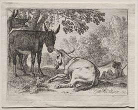 Donkeys. Herman van Swanevelt (Dutch, c. 1600-1655). Etching