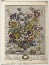 Twelve Months of Flowers:  April, 1730. Henry Fletcher (British, active 1715-38). Engraving,