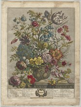 Twelve Months of Flowers:  May, 1730. Henry Fletcher (British, active 1715-38). Engraving,