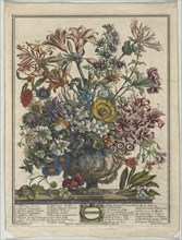 Twelve Months of Flowers:  October, 1730. Henry Fletcher (British, active 1715-38). Engraving,