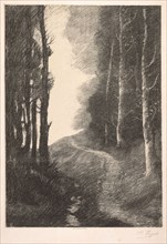 Landscape at Bouleaux. Alphonse Legros (French, 1837-1911). Lithograph