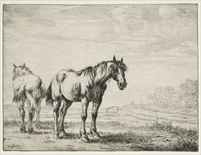 Two plough horses. Dirck Stoop (Dutch, c. 1618-1681). Etching