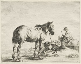 A Horse Fastened to a Stake. Dirck Stoop (Dutch, c. 1618-1681). Etching