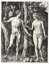 Adam and Eve, 1504. Albrecht Dürer (German, 1471-1528). Engraving; sheet: 25.2 x 19.4 cm (9 15/16 x
