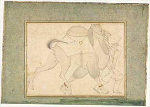 Camel and Groom; Single Page Illustration, c. 1545-1576. Style of Shaykh Muhammad (Iranian). Ink,