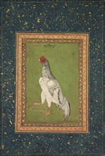 Rooster, c. 1620. India, Mughal, 17th century. Opaque watercolor and gold on paper; image: 18.3 x