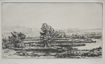 Landscape. Alphonse Legros (French, 1837-1911). Drypoint