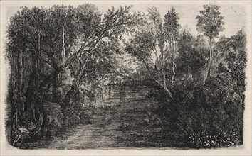 This etching was published in L'Artiste in June 1882: The Stream, 1880. Rodolphe Bresdin (French,