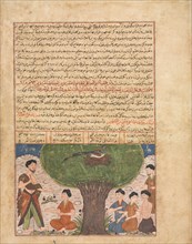 Text Page, Persian Prose (recto); The Story of Adam peace upon him, his Sons and Progeny (verso), c