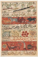 Animals, Precious Stones, Coins, and Musical Instruments (recto); Illustration and Text (Persian