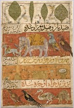 Animals, Birds, and Plants (verso); Illustration and Text (Persian Verses) from a Manuscript of the