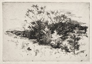 Autumn Landscape, 1879-80. John Henry Twachtman (American, 1853-1902). Etching