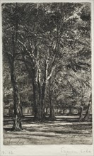 Kensington Gardens (The Larger Plate), 1860. Francis Seymour Haden (British, 1818-1910). Etching