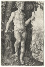 Adam, 1526. Jacob Binck (German, 1500-1569). Engraving