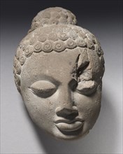 Fragment of Head of Buddha, 400s. India, Sarnath, Gupta Period (320-647). Sandstone; overall: 16 cm